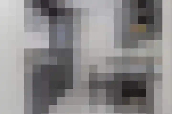 Slotmakersdreef 28 Maastricht thumbnail 11