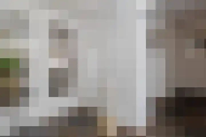 Slotmakersdreef 28 Maastricht thumbnail 12