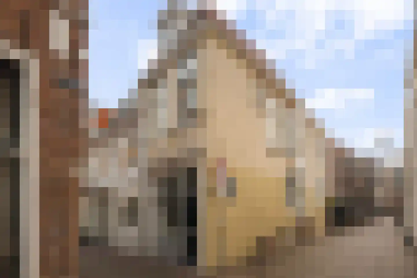 Slotmakersstraat 11 Leeuwarden thumbnail 46