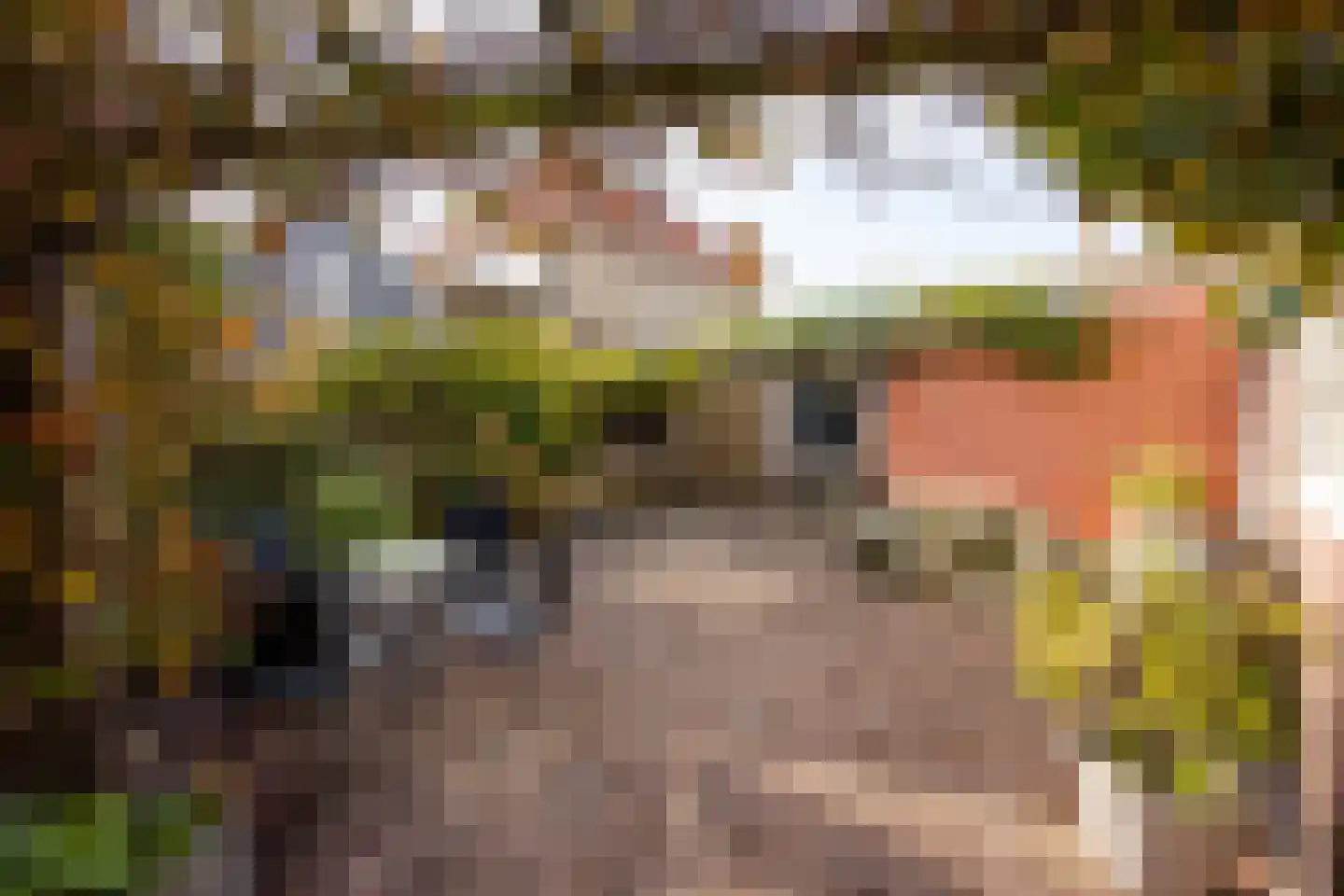 Slotmakersstraat 13 Makkum thumbnail 8