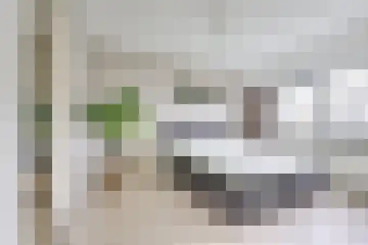 Slotmuur 1 Houten thumbnail 32