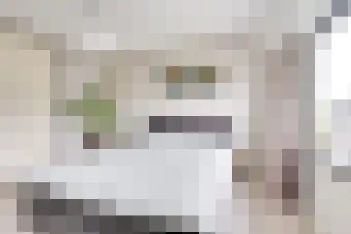 Slotmuur 1 Houten thumbnail 33