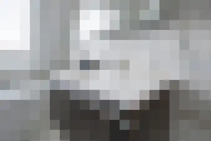 Slotmuur 1 Houten thumbnail 35