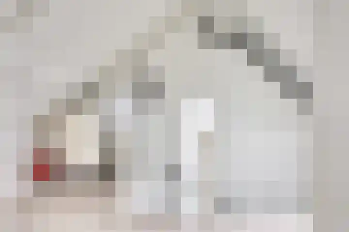 Slotmuur 1 Houten thumbnail 42