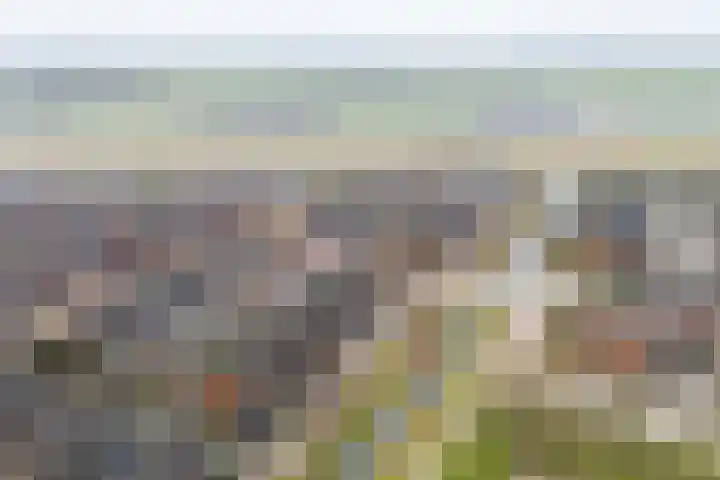Slotmuur 1 Houten thumbnail 51