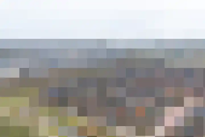 Slotmuur 1 Houten thumbnail 53