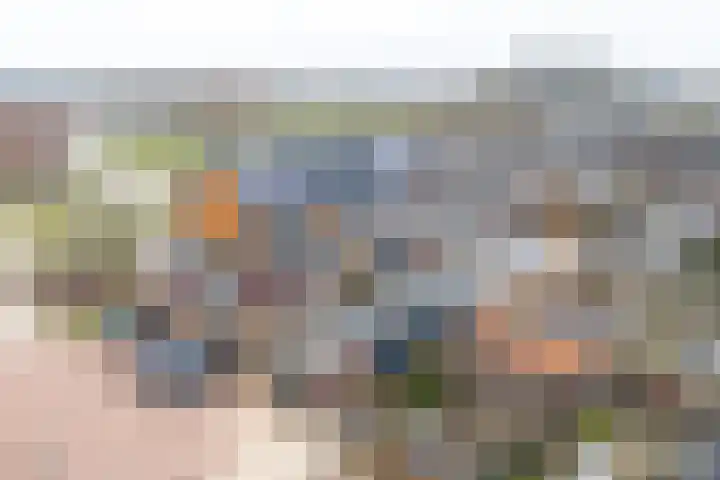 Slotmuur 1 Houten thumbnail 55