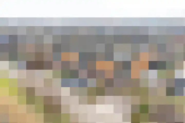 Slotmuur 1 Houten thumbnail 56