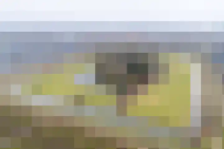 Slotmuur 1 Houten thumbnail 59