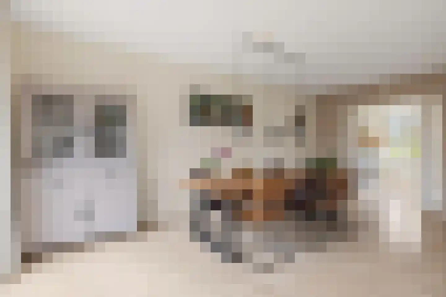 Slotmuur 33 Houten thumbnail 15
