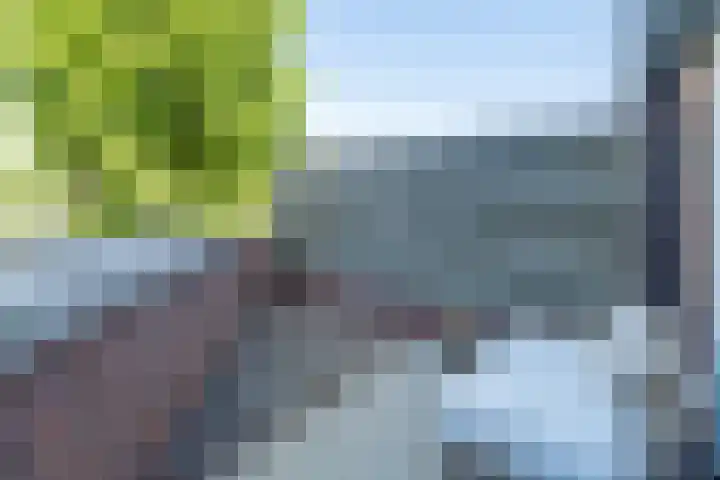 Slotplaats 16 Huizen thumbnail 14
