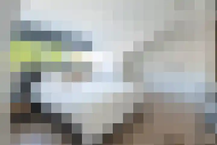 Slotplaats 16 Huizen thumbnail 21