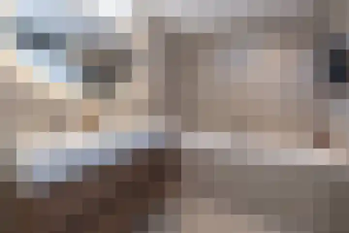 Slotplaats 16 Huizen thumbnail 26