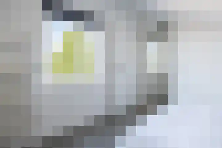 Slotplaats 16 Huizen thumbnail 29