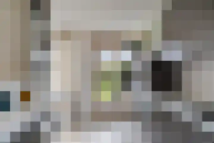 Slotplein 117 Capelle aan den IJssel thumbnail 8
