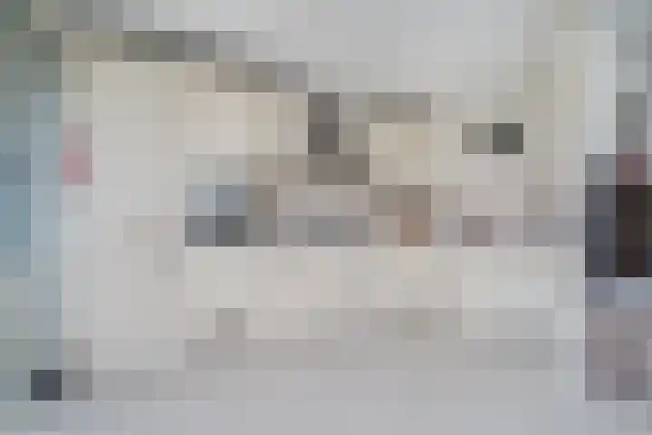 Slotplein 120 Capelle aan den IJssel thumbnail 10
