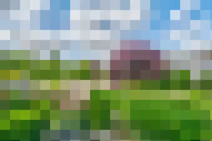 Slotplein 120 Capelle aan den IJssel thumbnail 13