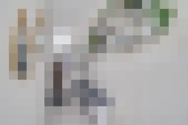 Slotplein 120 Capelle aan den IJssel thumbnail 5