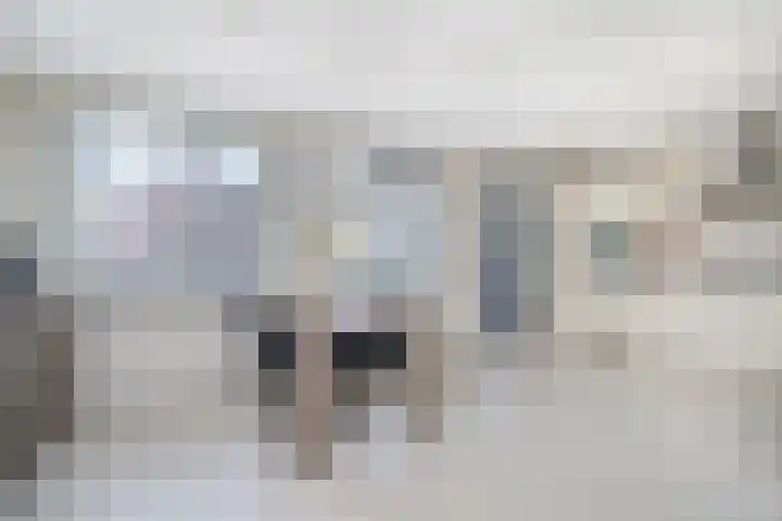 Slotplein 120 Capelle aan den IJssel thumbnail 9