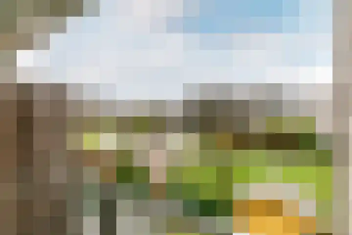 Slotplein 121 Capelle aan den IJssel thumbnail 19