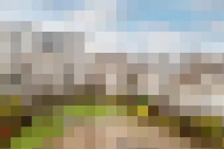 Slotplein 121 Capelle aan den IJssel thumbnail 26