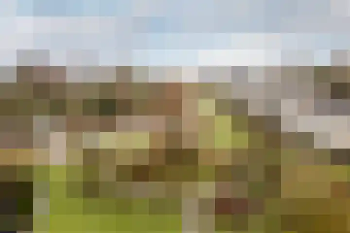 Slotplein 121 Capelle aan den IJssel thumbnail 33