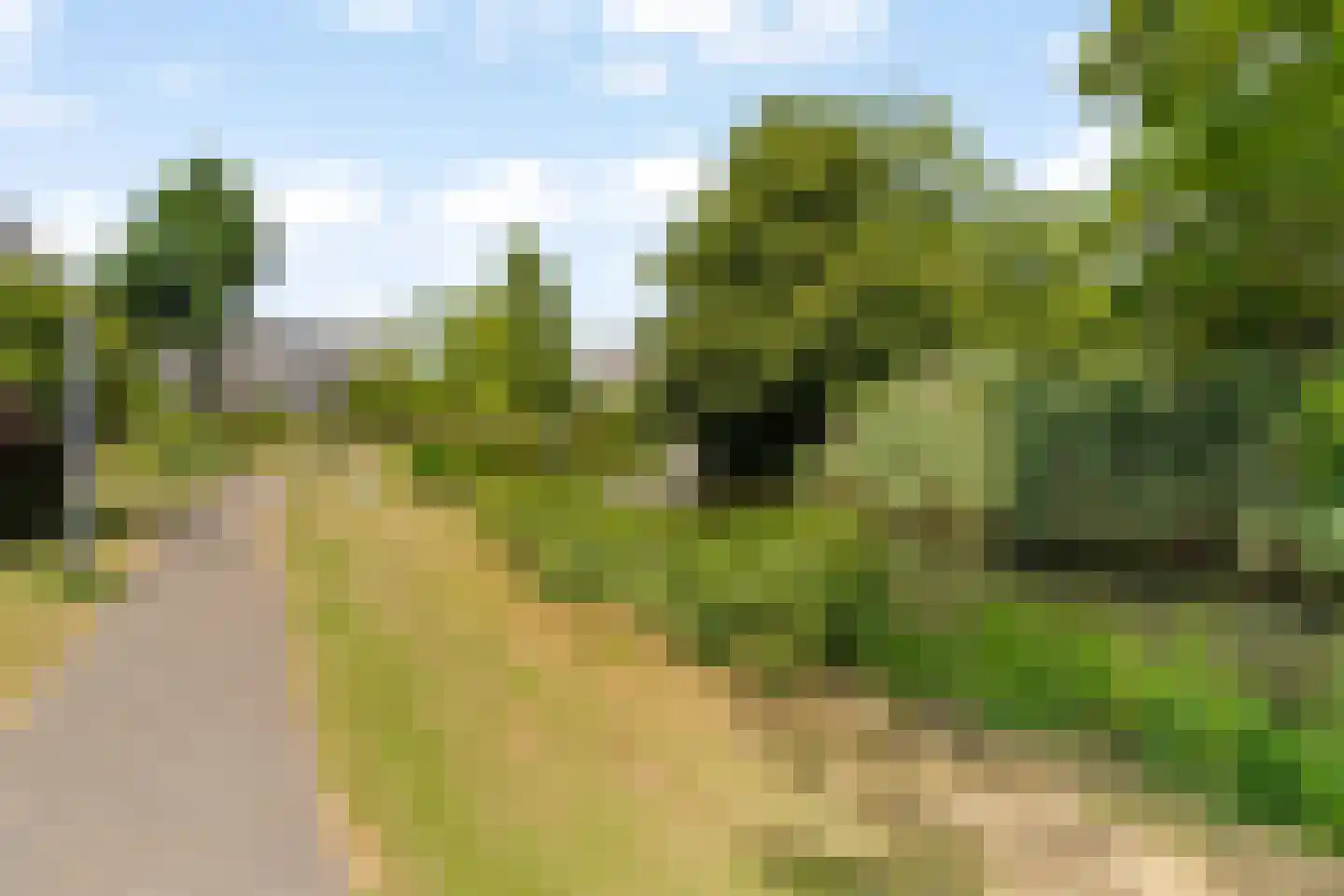 Slotplein 147 Capelle aan den IJssel thumbnail 5