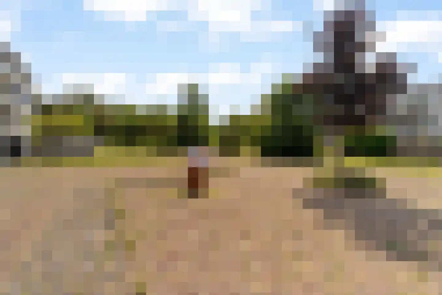 Slotplein 147 Capelle aan den IJssel thumbnail 6