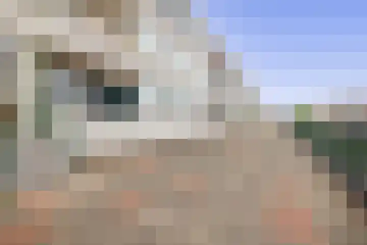 Slotplein 49 Capelle aan den IJssel thumbnail 5