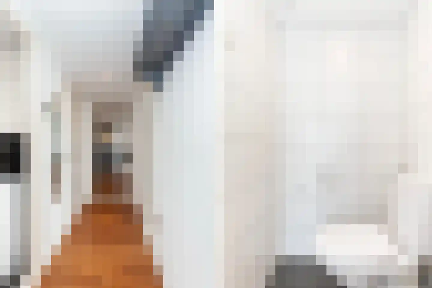 Slotplein 54 Capelle aan den IJssel thumbnail 6