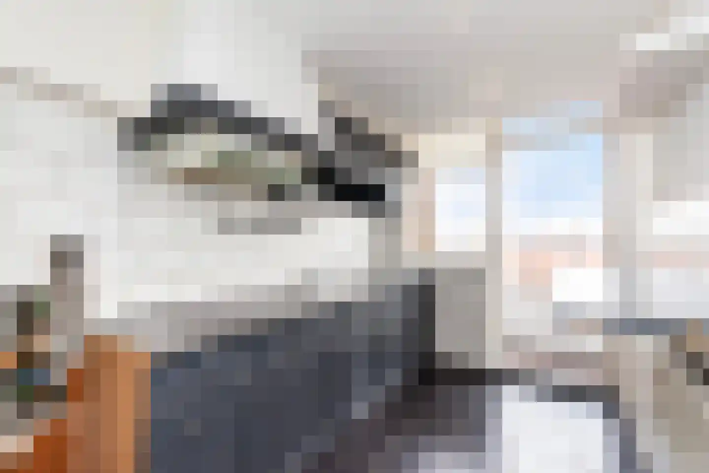 Slotplein 54 Capelle aan den IJssel thumbnail 9