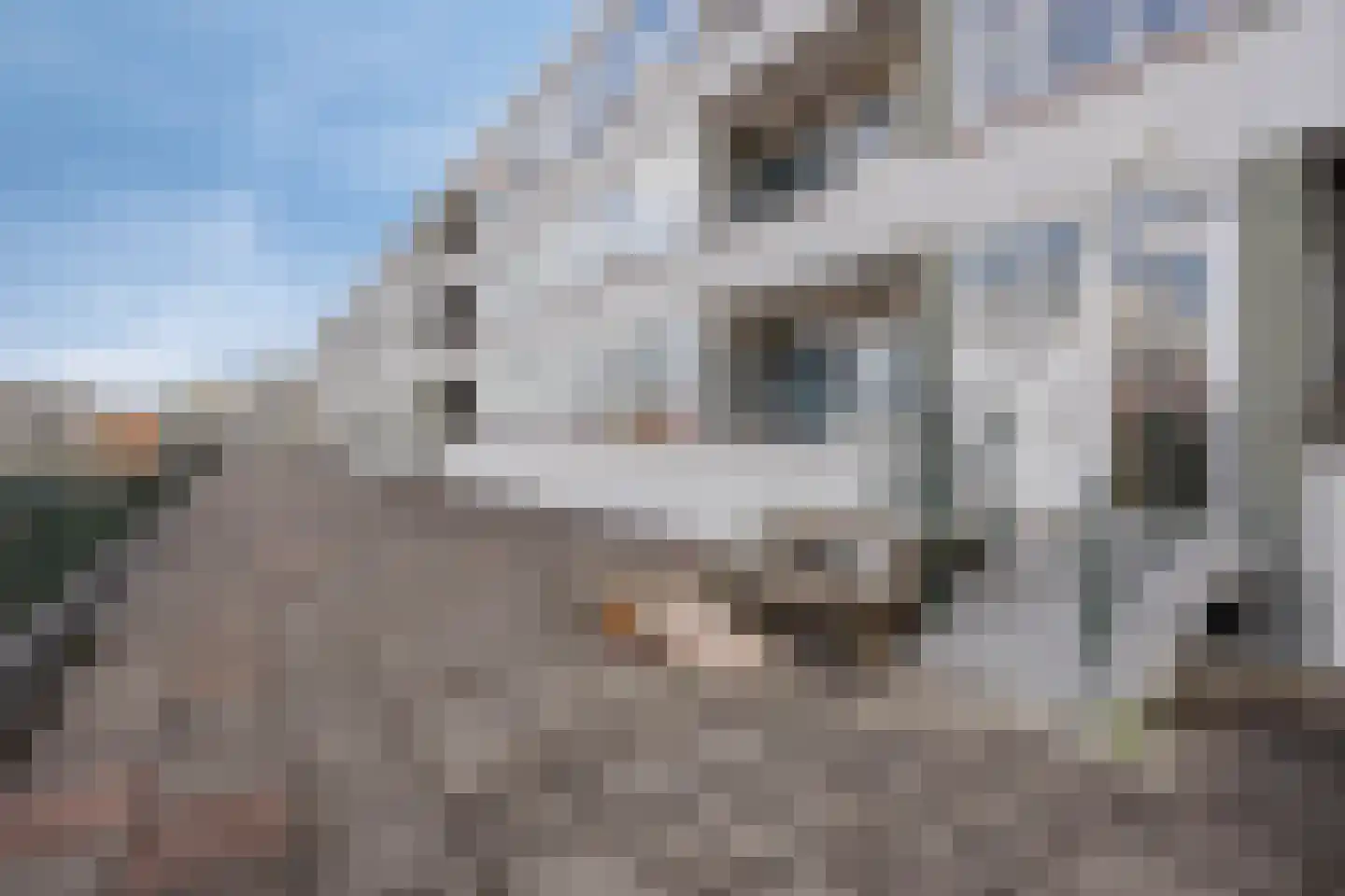 Slotplein 55 Capelle aan den IJssel thumbnail 14