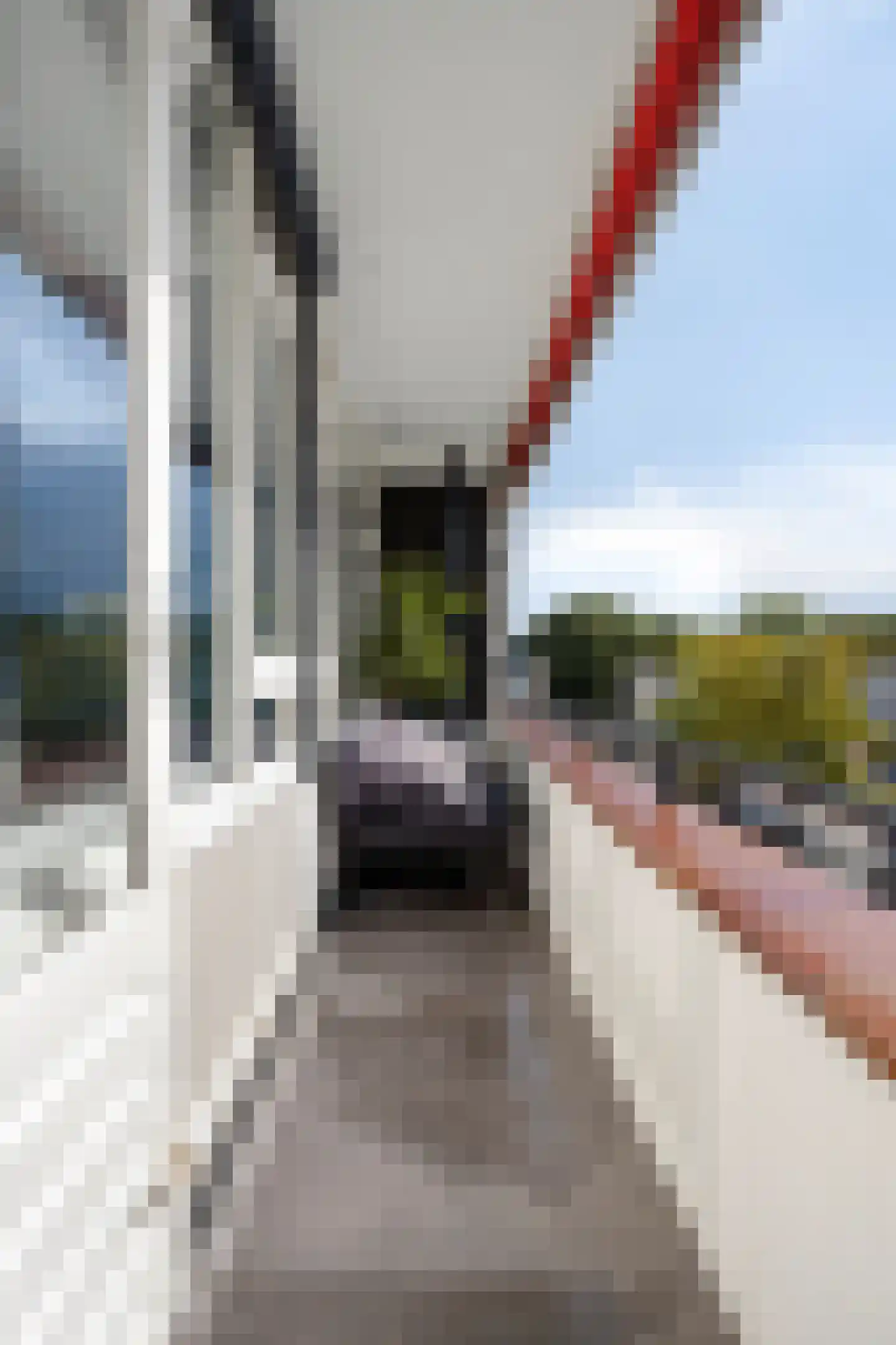 Slotplein 55 Capelle aan den IJssel thumbnail 16