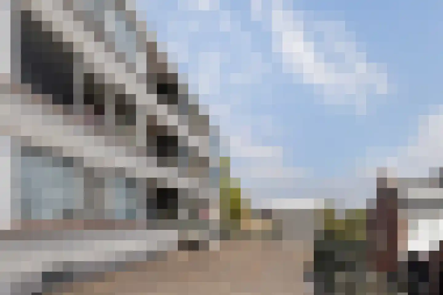 Slotplein 59 Capelle aan den IJssel thumbnail 10