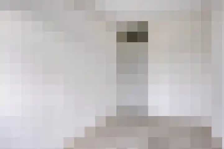 Slotpoort 13 Capelle aan den IJssel thumbnail 18