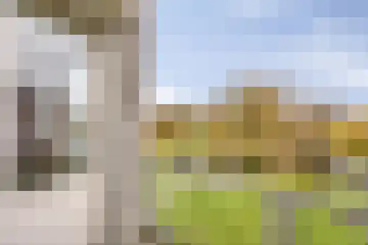Slotpoort 13 Capelle aan den IJssel thumbnail 22