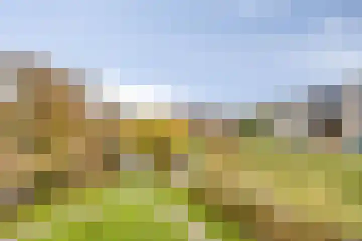Slotpoort 13 Capelle aan den IJssel thumbnail 23
