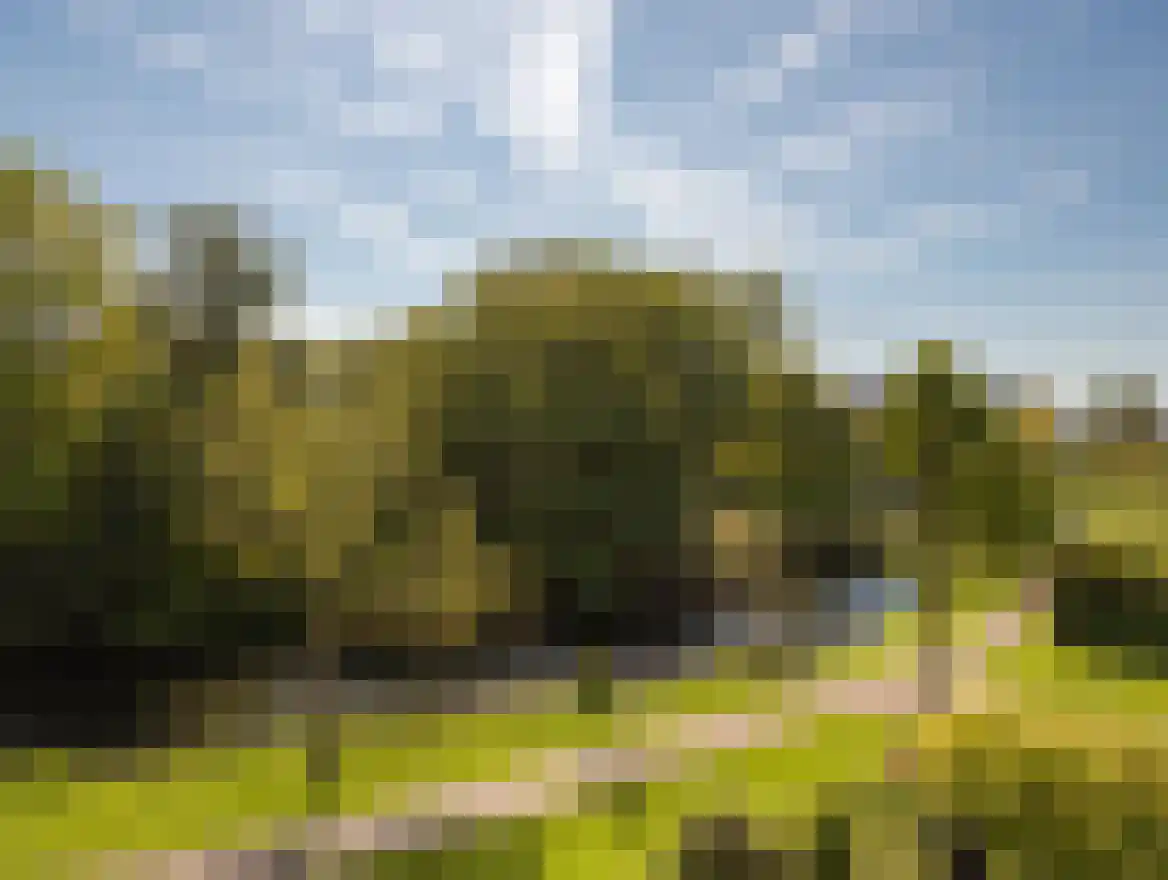 Slotpoort 36 Capelle aan den IJssel thumbnail 10