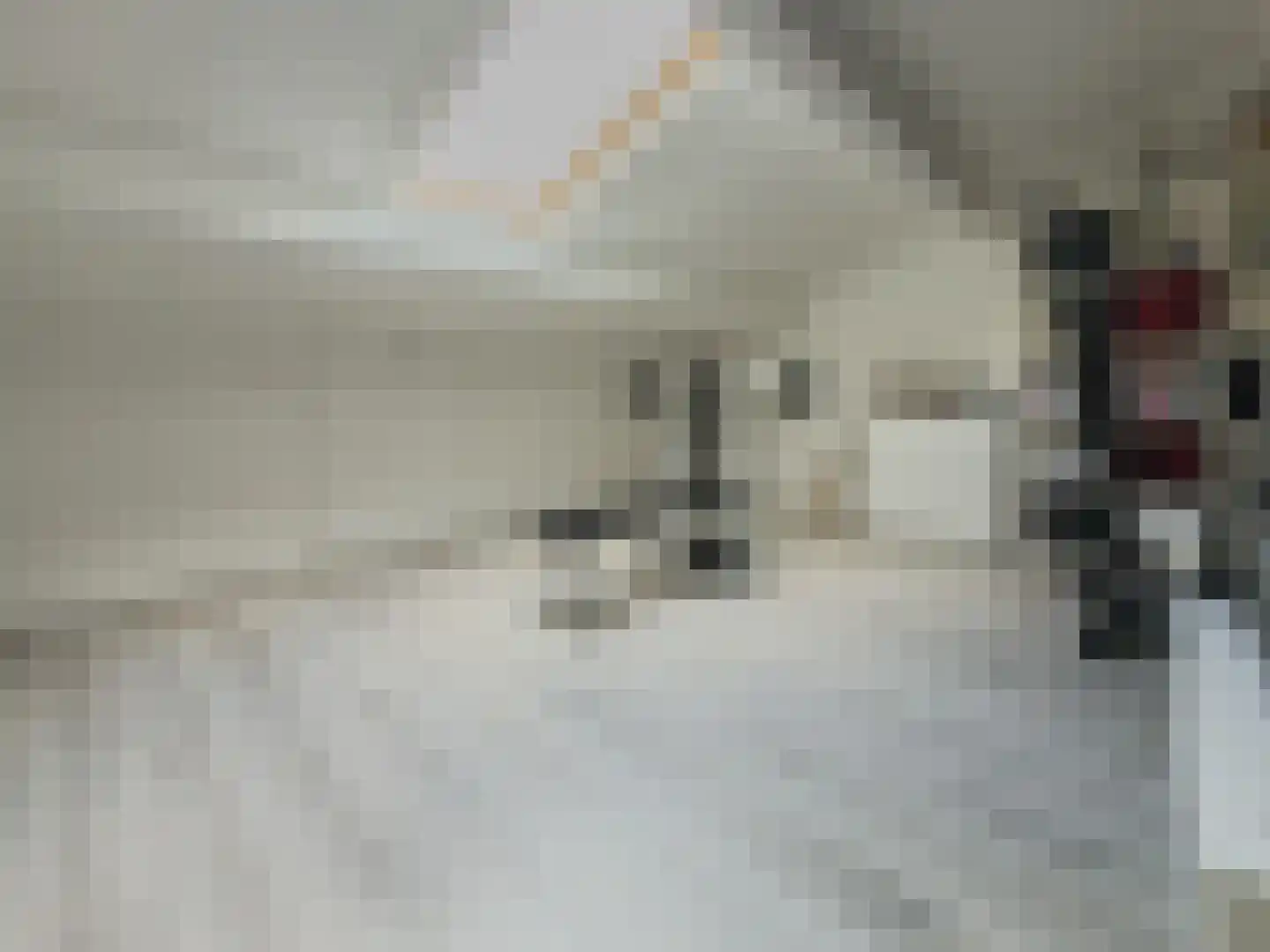 Slotpoort 36 Capelle aan den IJssel thumbnail 22