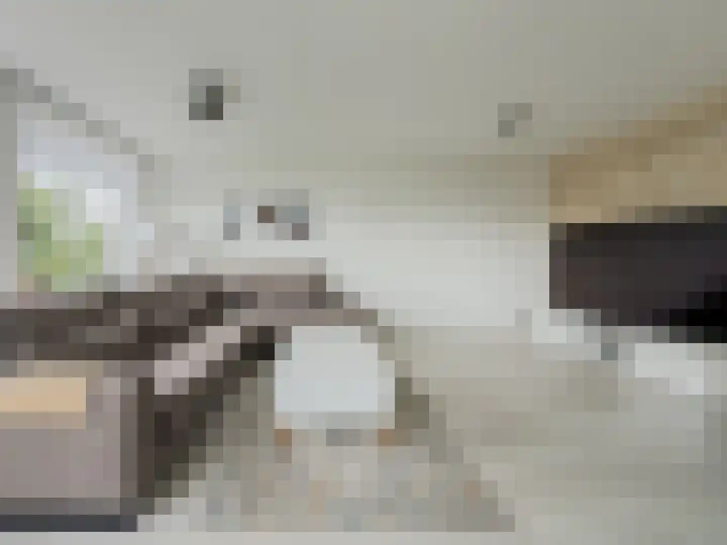 Slotpoort 36 Capelle aan den IJssel thumbnail 8