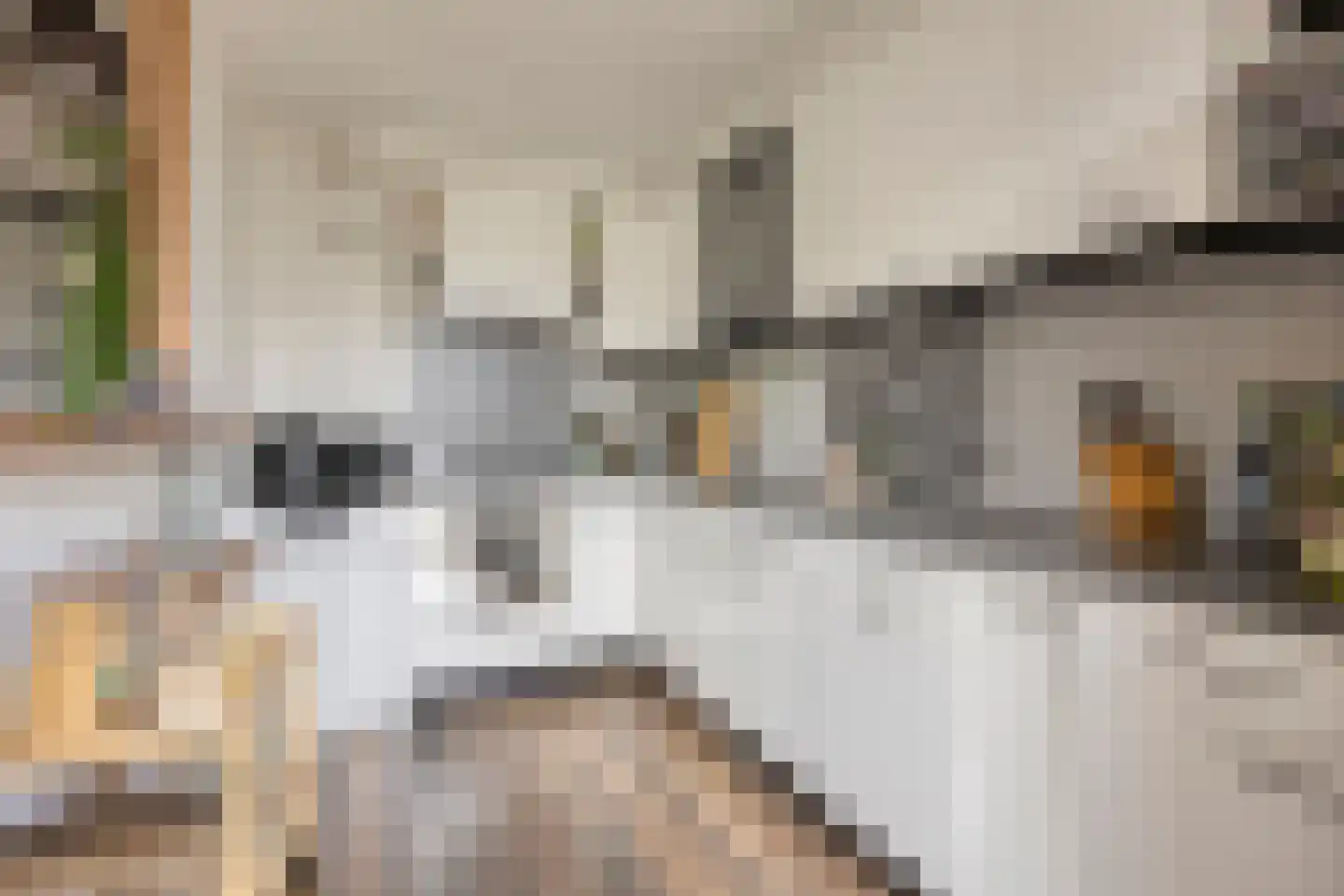 Slotpoort 52 Capelle aan den IJssel thumbnail 11