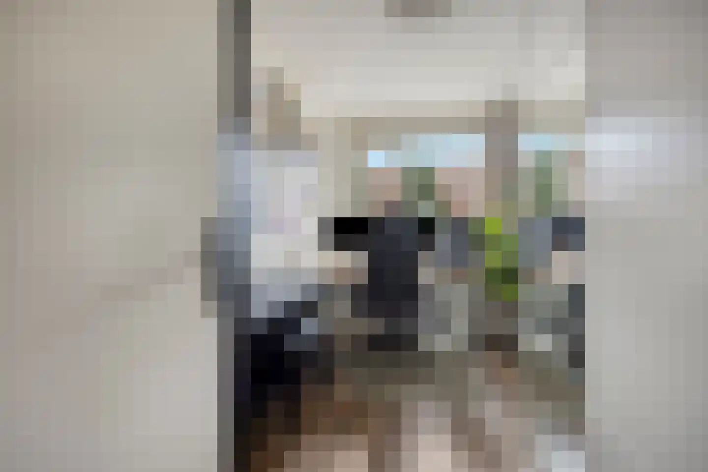 Slotpoort 52 Capelle aan den IJssel thumbnail 21