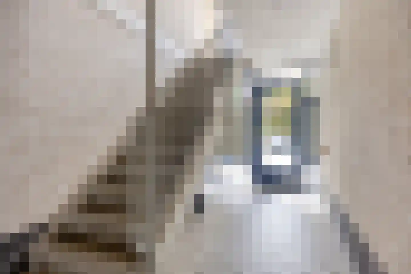 Slotpoort 52 Capelle aan den IJssel thumbnail 31