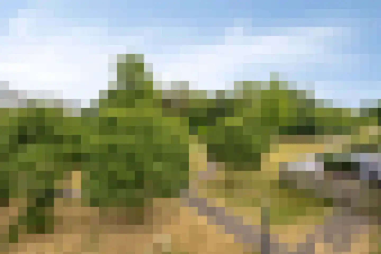 Slotpoort 52 Capelle aan den IJssel thumbnail 37