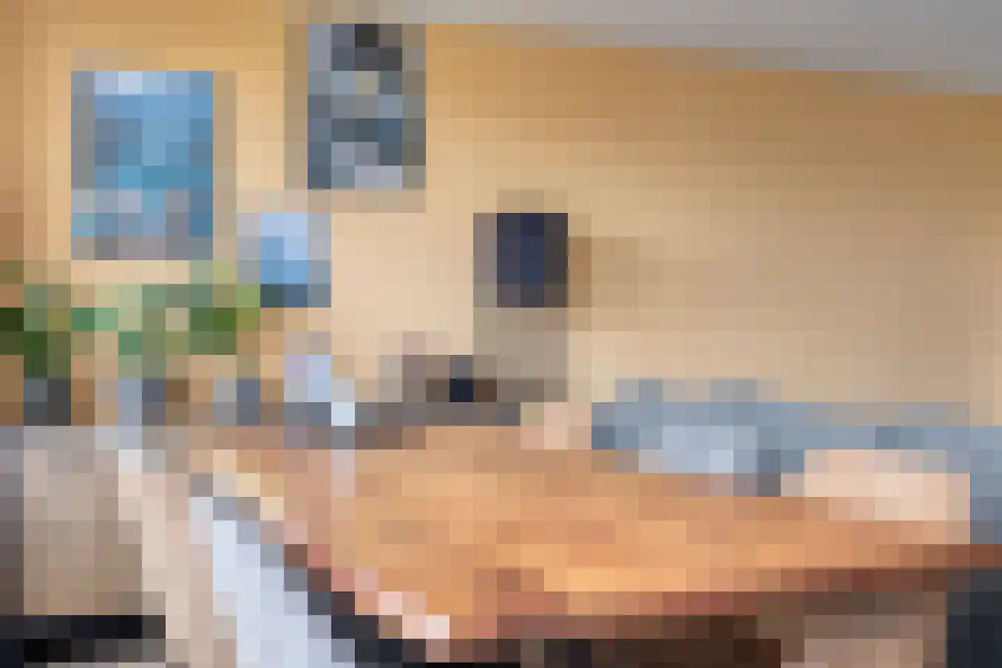 Slotpoort 52 Capelle aan den IJssel thumbnail 6