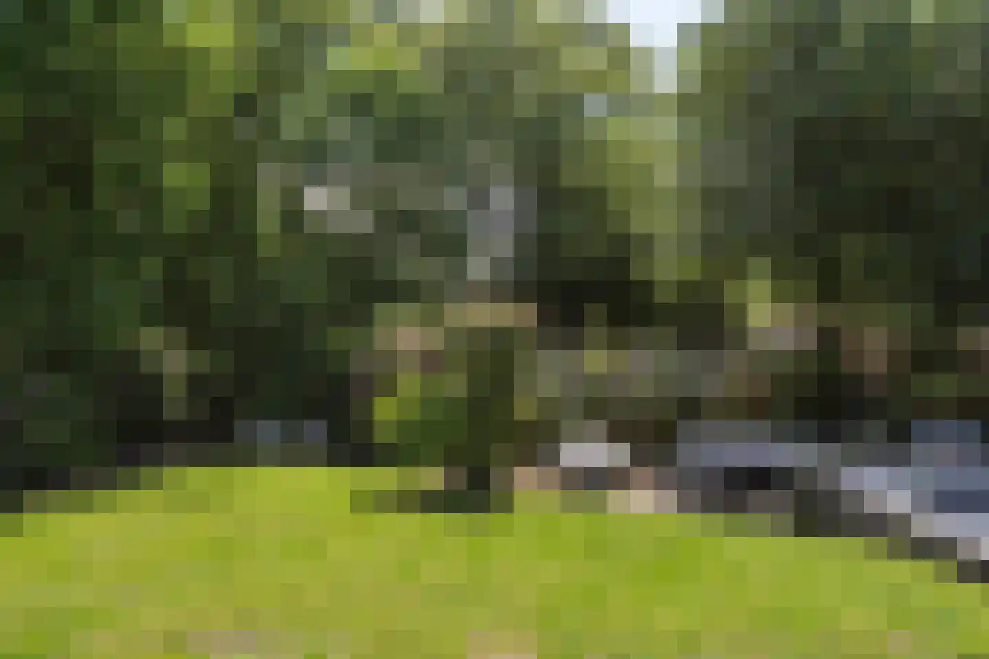 Slotrampweg 2 Bergen (NH) thumbnail 40