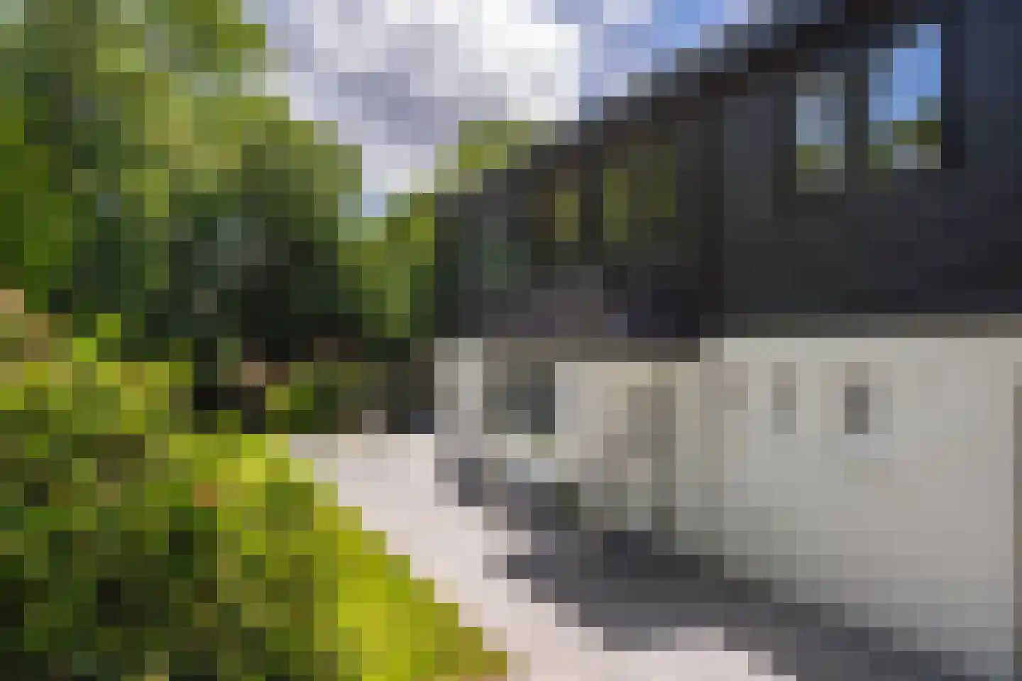 Slotrampweg 2 Bergen (NH) thumbnail 45