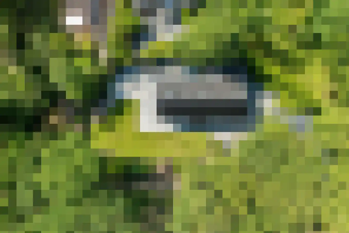 Slotrampweg 2 Bergen (NH) thumbnail 47