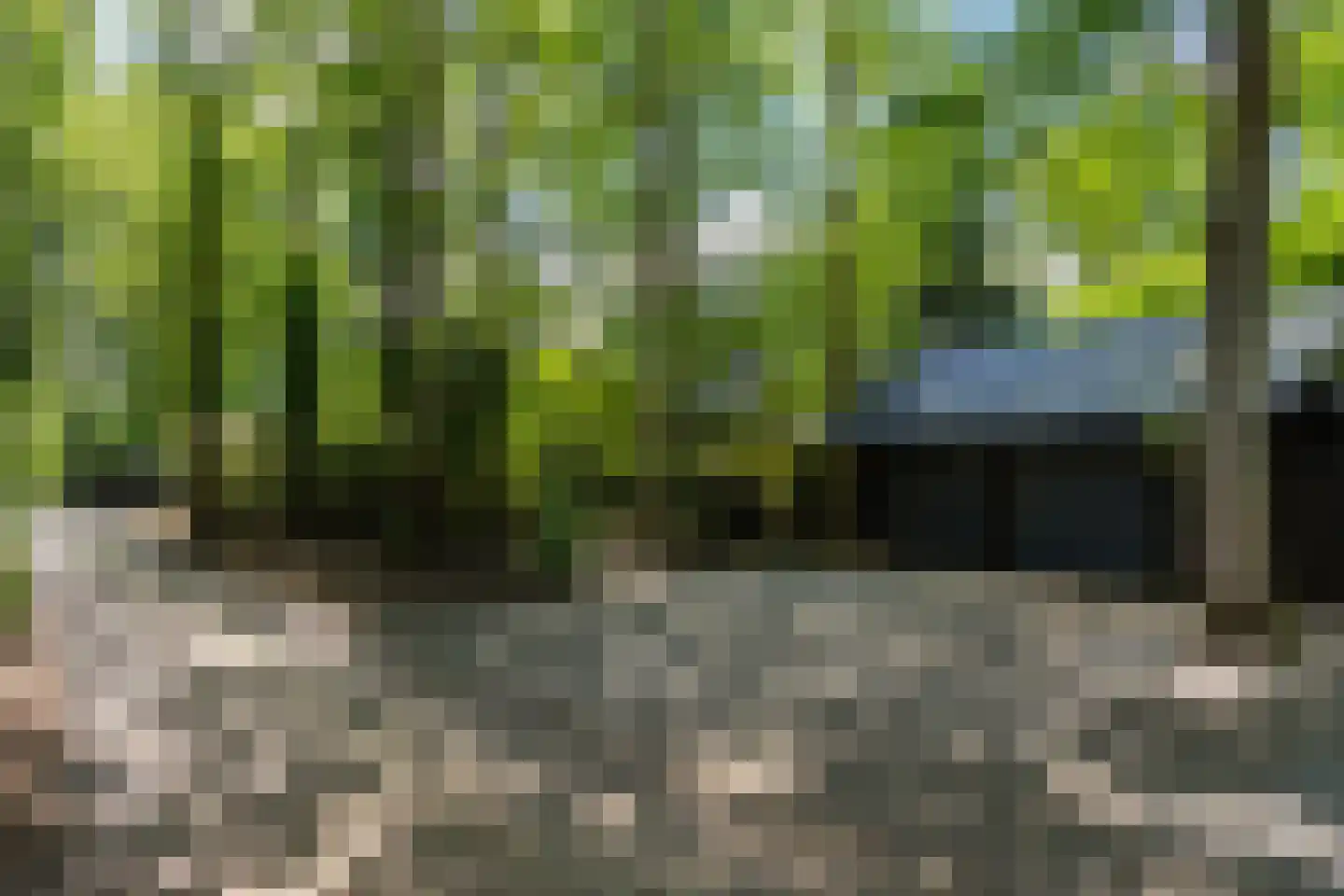 Slotrampweg 2 Bergen (NH) thumbnail 6