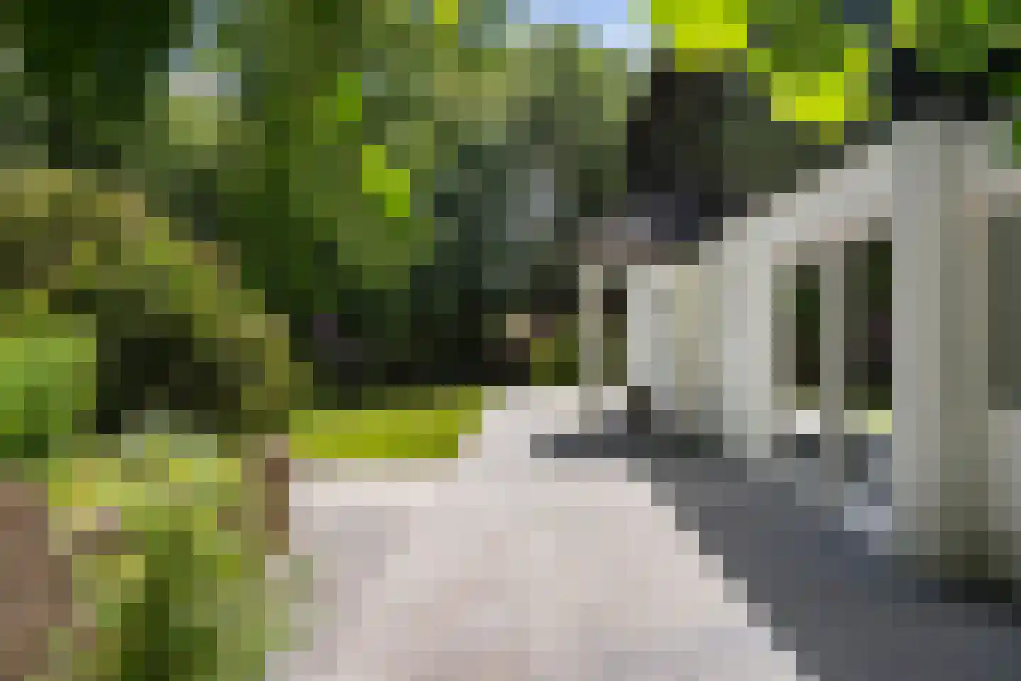 Slotrampweg 2 Bergen (NH) thumbnail 8